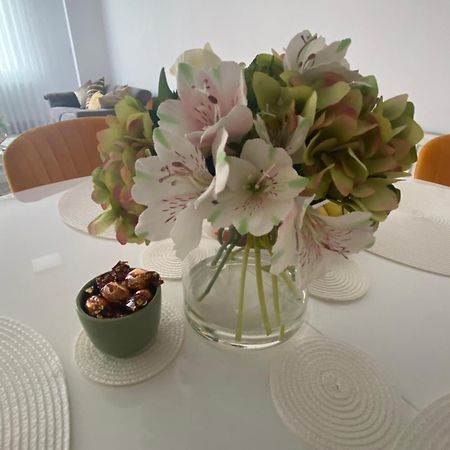 Heidy Sinaia Apartman Kültér fotó