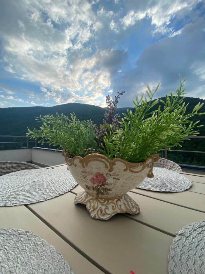 Heidy Sinaia Apartman Kültér fotó